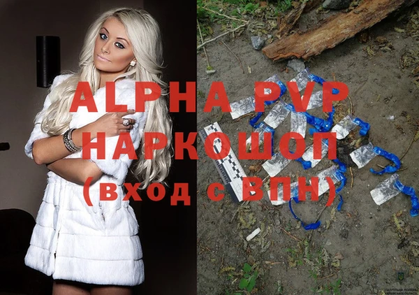 СК Билибино