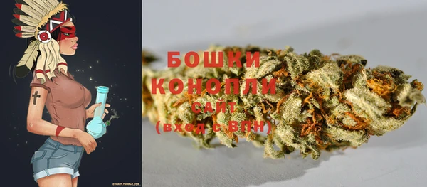 СК Билибино