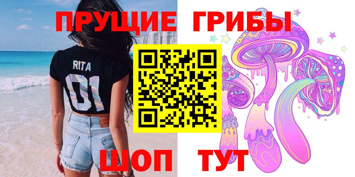 Чистополь  Псилоцибиновые грибы мухоморы  цены наркотик  Вход с VPN 